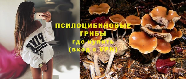 дурь Балабаново